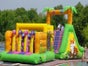 Abenteuerlandschaft  Jungle Trek oder Jungle Run - Galerie - Bild 2