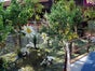 Frühlingslandschaft Künstlich Frühling Frühlingsdekoration - Galerie - Bild 3