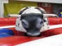 Bull Riding / Rodeo Bulle - Galerie - Bild 4