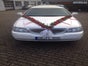 Lincoln Town Car Super-Stretch als Hochzeitsfahrzeug - Galerie - Bild 2