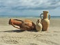 Amphoren - Römisch / Griechische Amphore - Galerie - Bild 2