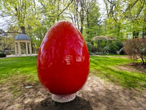 Osterei Bunt, Farbig, Ei, Ostern, Osterdekoration