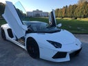 Lamborghini Aventador Roadster - Galerie - Bild 1