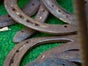 Hufeisenwerfen mieten - inkl. 19% MwSt. - Galerie - Bild 3
