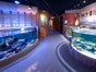 AquaDom & SEA LIFE Berlin - Galerie - Bild 3