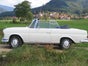 Mercedes-Benz 250 SE Oldtimer Cabriolet 5-Sitzplätze - Galerie - Bild 4