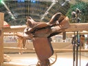 Pferdesattel, Sattel, Pferd, Cowboy