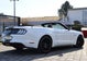 Ford Mustang 5.0 Ti-VCT V8 GT CABRIO - Traumwagen Hochzeitsauto Roadtrip Fotoshooting