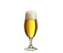 Pilstulpe Pilsglas Bierglas