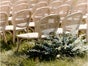 Love Events  Louis Rattan Stühle für stilvolle Events - Galerie - Bild 2