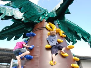 Kletterpalme / Kletterberg - NEUARTIGES SPIELKONZEPT inkl. 19% MwSt.