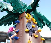 Kletterpalme / Kletterberg - NEUARTIGES SPIELKONZEPT inkl. 19% MwSt.
