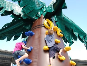 Kletterpalme / Kletterberg - NEUARTIGES SPIELKONZEPT inkl. 19% MwSt.