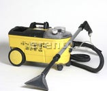 Teppichreiniger incl.Reinigugsmittel für 10qm