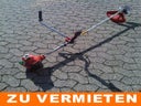 Motorsense / Freischneider / Gestrüppschneider / Profigerät