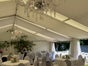 PARTYZELT MIETEN BERLIN - NAHES UMLAND - 0,-€ LIEFERUNG* - Galerie - Bild 2
