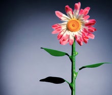 Riesenblume XXL Sommerblume Blume Blumenzubehör Pflanzen