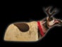 Rentierrodeo - Galerie - Bild 2