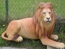 Löwe Figur, Afrika, Wildtier, Tier, Raubkatze