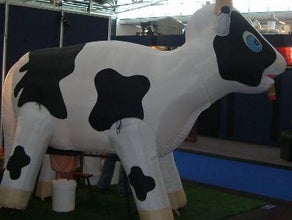 Melkkuh oder Rodeobulle manuell oder Riesendart