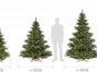 Künstlicher Weihnachtsbaum Nordmanntanne - Galerie - Bild 2