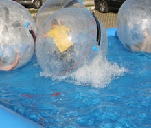 Aqua Balls / Aqua Zorbing / Wasserball / Waterball / Powerball Arena + Pool mieten