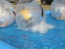Aqua Balls / Aqua Zorbing / Wasserball / Waterball / Powerball Arena + Pool mieten