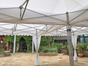 Mastertent Faltzelt 5 x 10m - Galerie - Bild 4