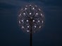 Pusteblume Blume Riesenblume - Galerie - Bild 4