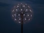Pusteblume Blume Riesenblume - Galerie - Bild 4