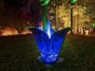 Springblume - Blume mit Springbrunnen - Galerie - Bild 2
