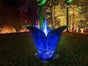 Springblume - Blume mit Springbrunnen - Galerie - Bild 2