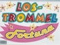 Lostrommel Standmodell - Galerie - Bild 3