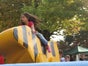 Rodeo Duck / Rodeo Ente / Getigerte Ente als Rodeogerät buchen - Galerie - Bild 2