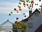 Exploding Balloon inkl.19% MwSt. - Galerie - Bild 3
