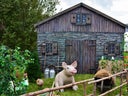 Almhütte - Bauernhof - Scheune