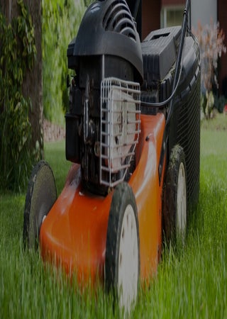 hero image