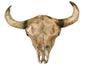 Kuhschädel, Schädel, Kuh, Rind, Figur, Western, Wilder Westen, Cowboy - Galerie - Bild 2