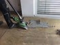 Teppichstripper - Galerie - Bild 2