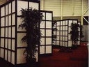 Paravent - China - Japan - Asien - Dekoration - Event