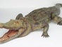 Krokodil Figur, Wildtier, Tier, Alligator - Galerie - Bild 2