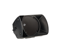 Mackie SRM 450 V2