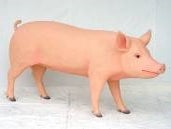 Schwein Figuren, Ferkel, Bauenhof, Tier, Nutztier