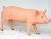 Schwein Figuren, Ferkel, Bauenhof, Tier, Nutztier
