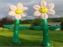 Aufblasbare Blumen 4m hoch