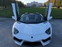 Lamborghini Aventador Roadster - Galerie - Bild 3