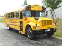 Partybus - US-Schoolbus +TOP Ausstattung+Professioneller Service. -EliteBus-