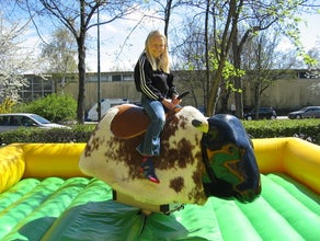 Bullriding - American Western Rodeo inkl. 19% MwSt.