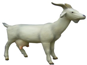 Ziege Figur, Bock, Ziegenbock, Bauernhof, Bauer, Tier