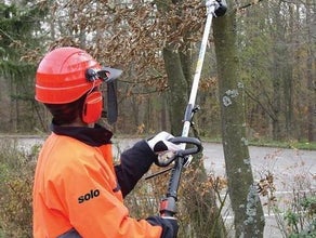 Astsäge 25 cm Schwertlänge, bis 4 m Arbeitshöhe, Benzingemisch